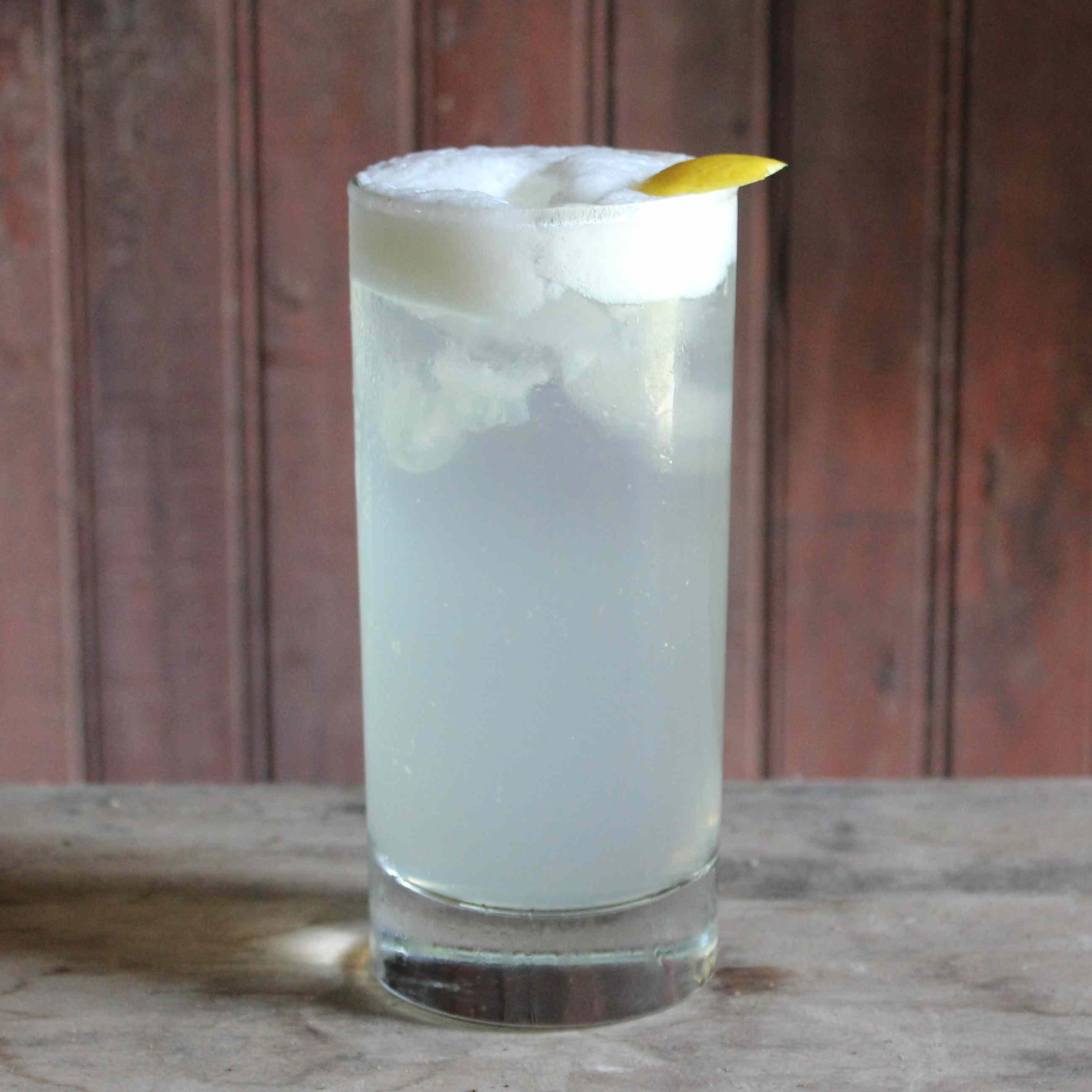 Citrus-Honey Gin Fizz