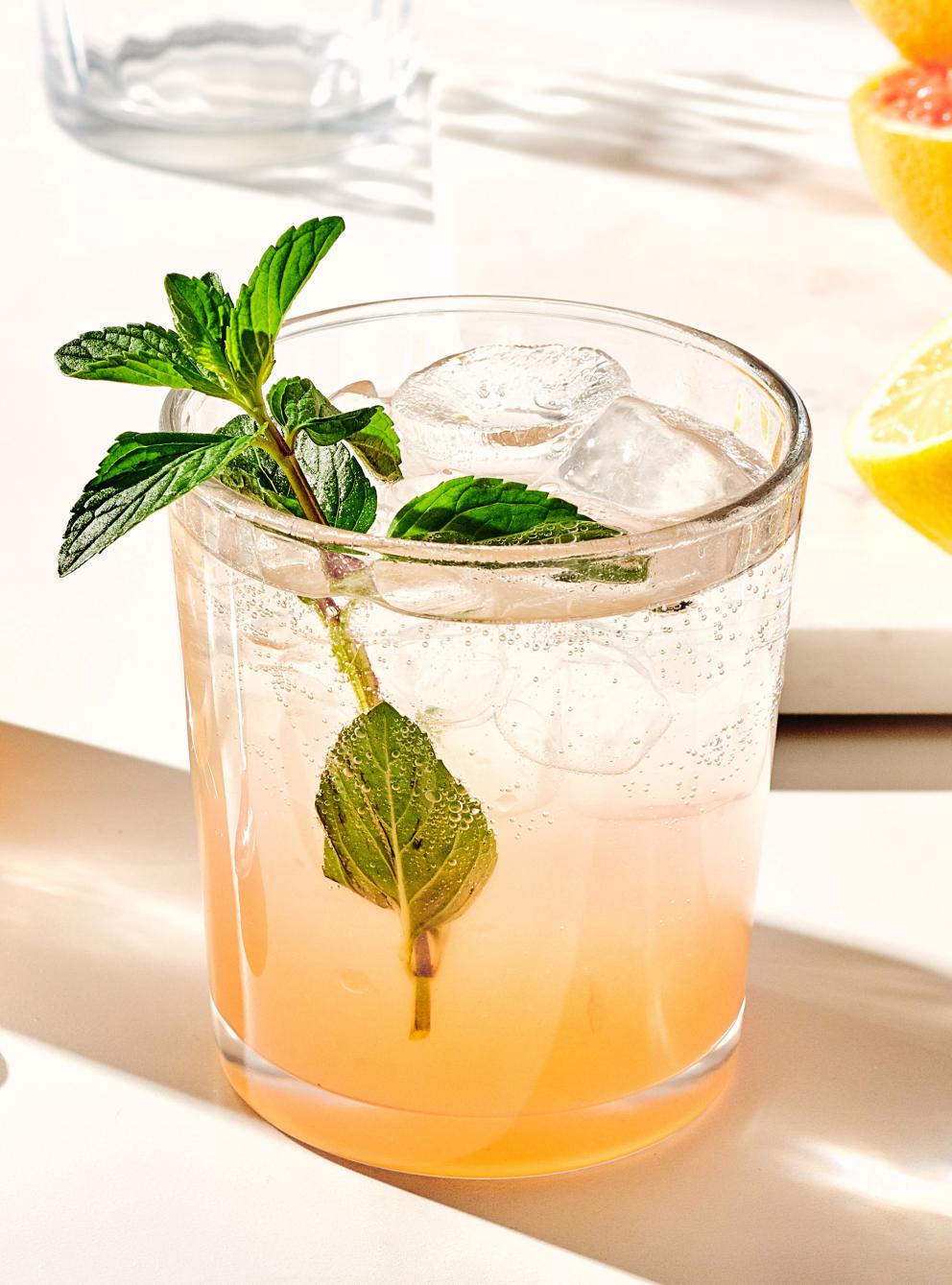 Citrus-Mint Carbondale Fizz