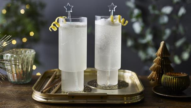 Citrus-Spiced Gin Fizz