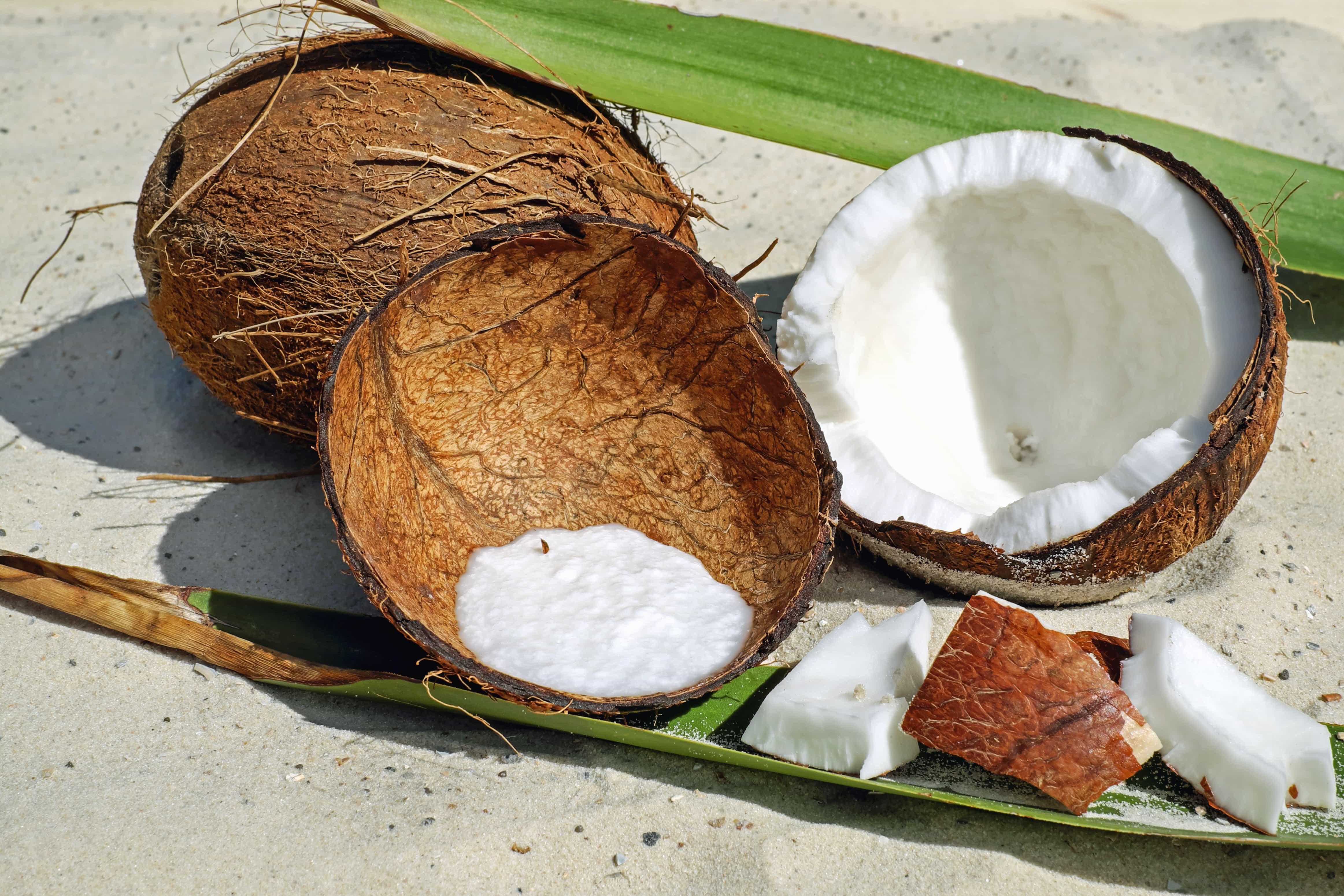 Coconut-Lime Frozen Daiquiri