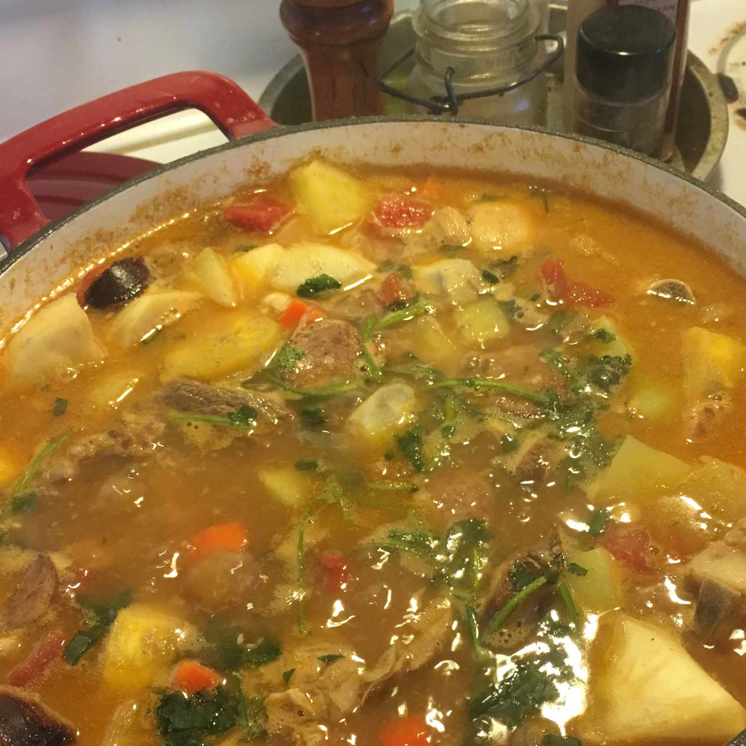 Spiced Dominican Chicken Stew with Root Vegetables
