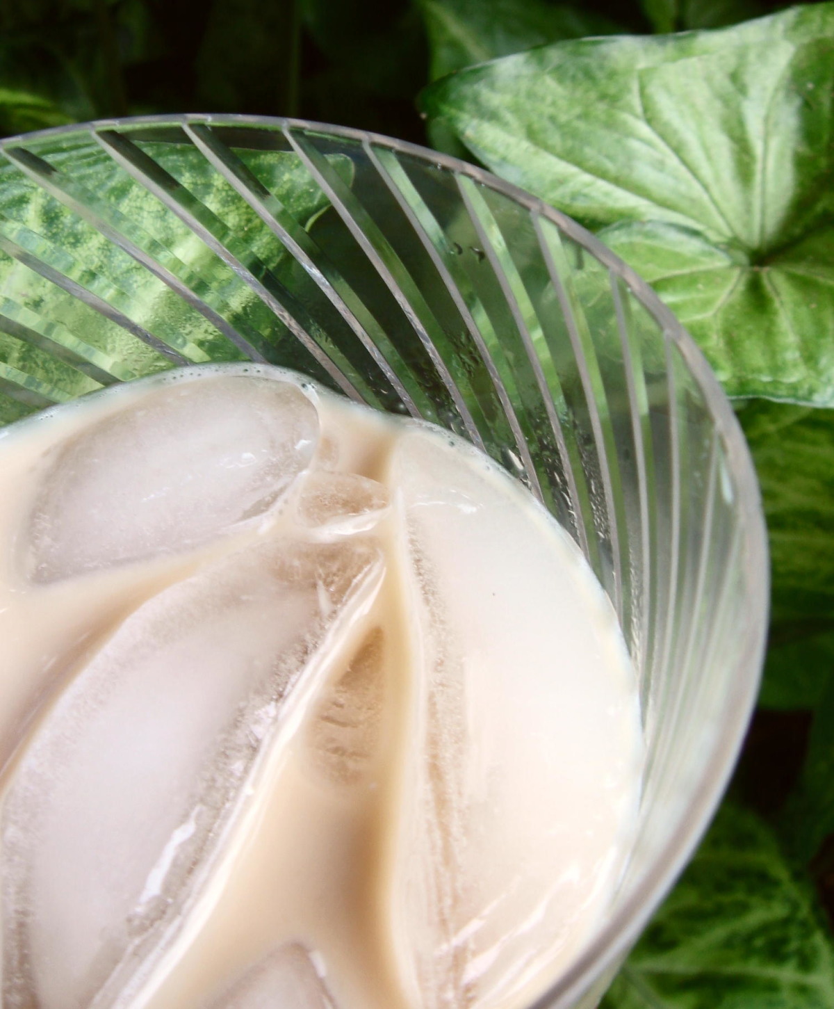 Creamy Cardamom Vanilla White Russian