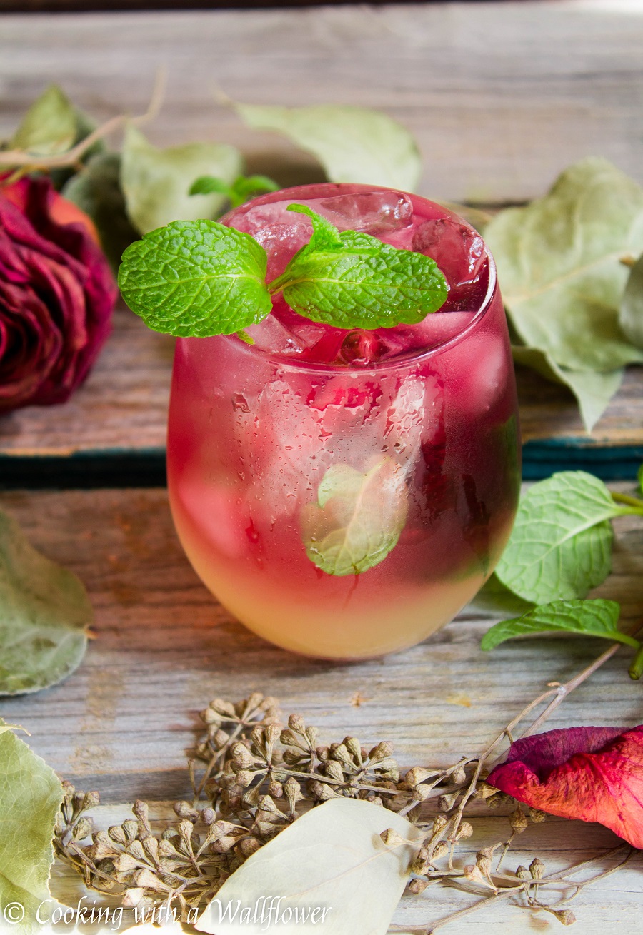 Hibiscus Gin Fizz with Lemon Verbena