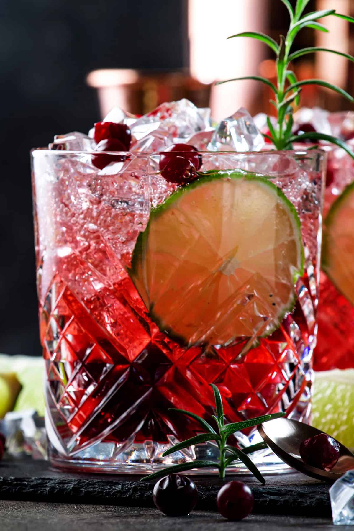 Spiced Cranberry Vodka Fizz