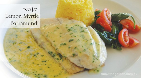 Slow-Cooked Barramundi with Lemon Myrtle and Quandong Sauce