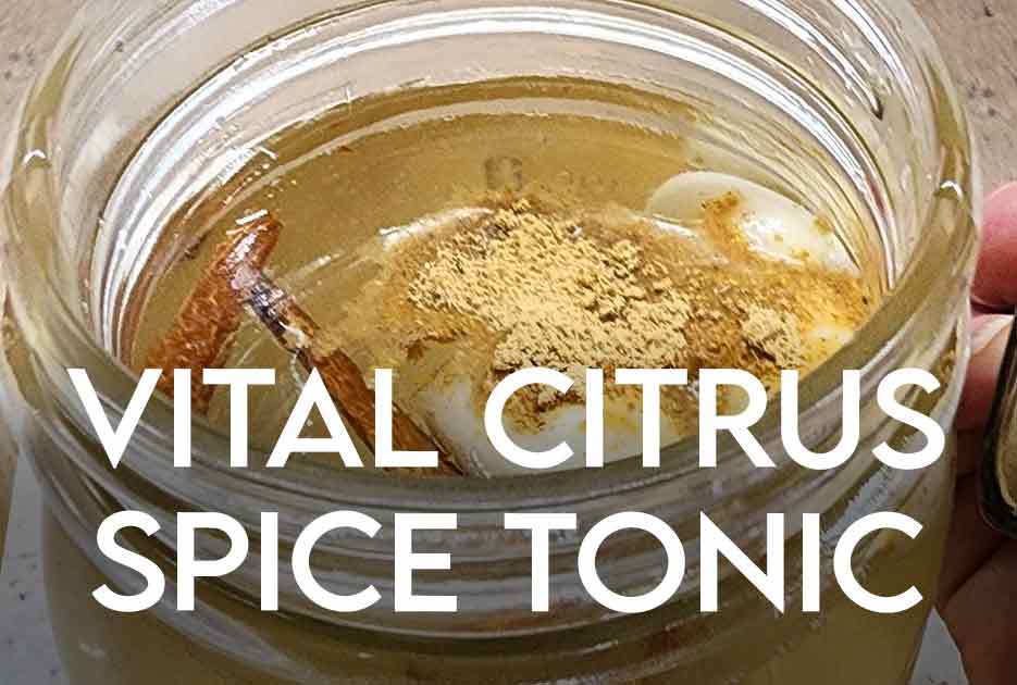 Citrus Spice Tech Tonic