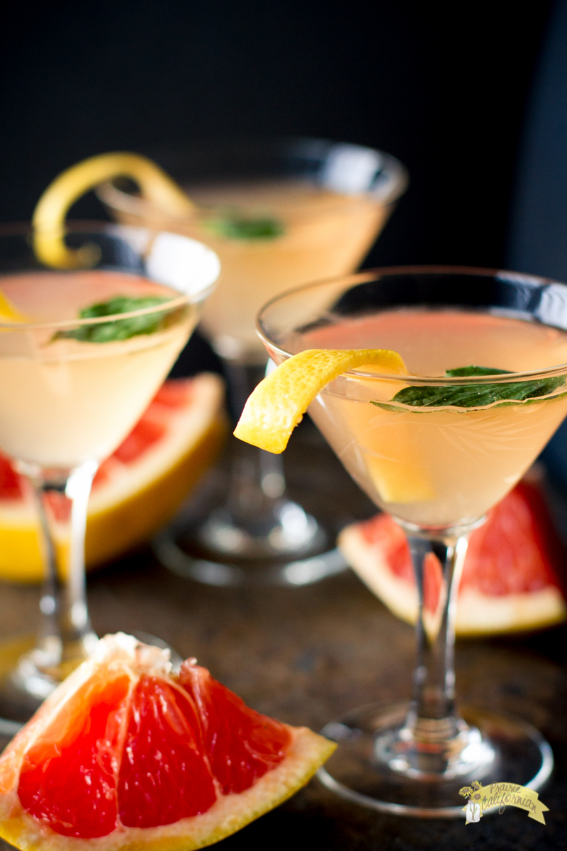 Citrus-Gin Martini with Basil Essence