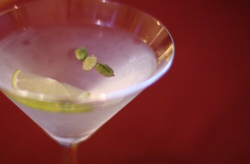 Cardamom-Spiced Gin Martini