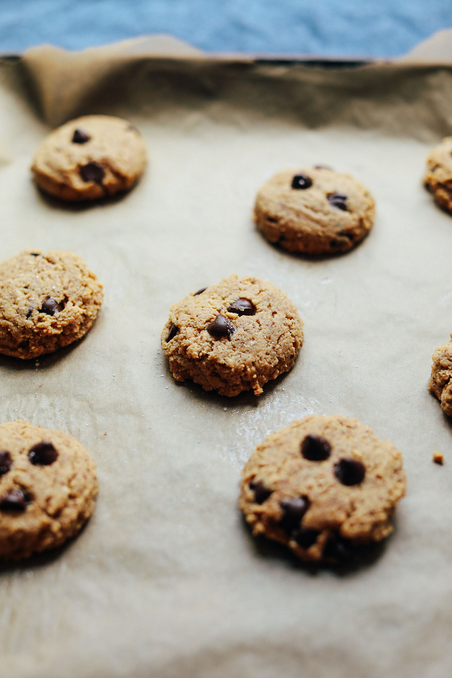 Gluten-Free Almond Butter Chocolate Chip Cookies