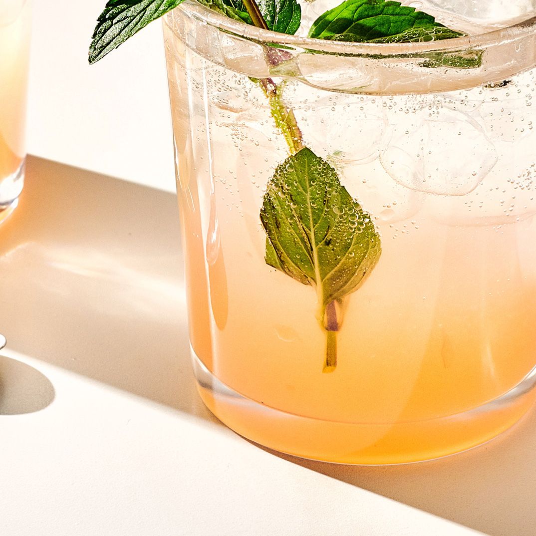 Citrus-Mint Gin Fizz