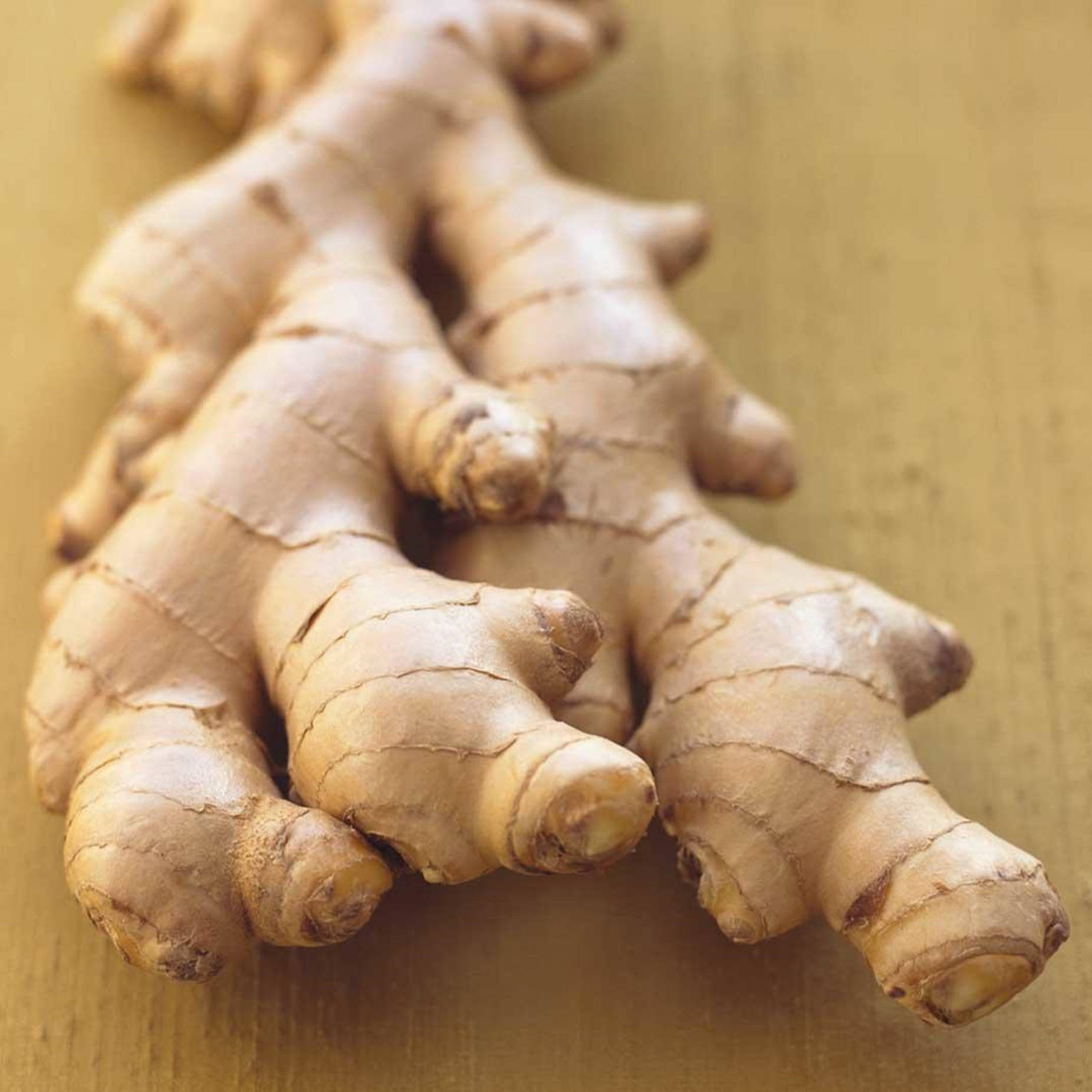Ginger Spice Popular Mule