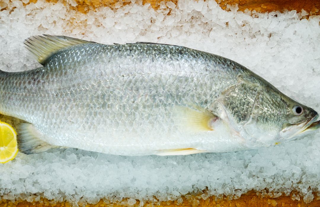 Barramundi and Avocado Summer Salad with Finger Lime Vinaigrette