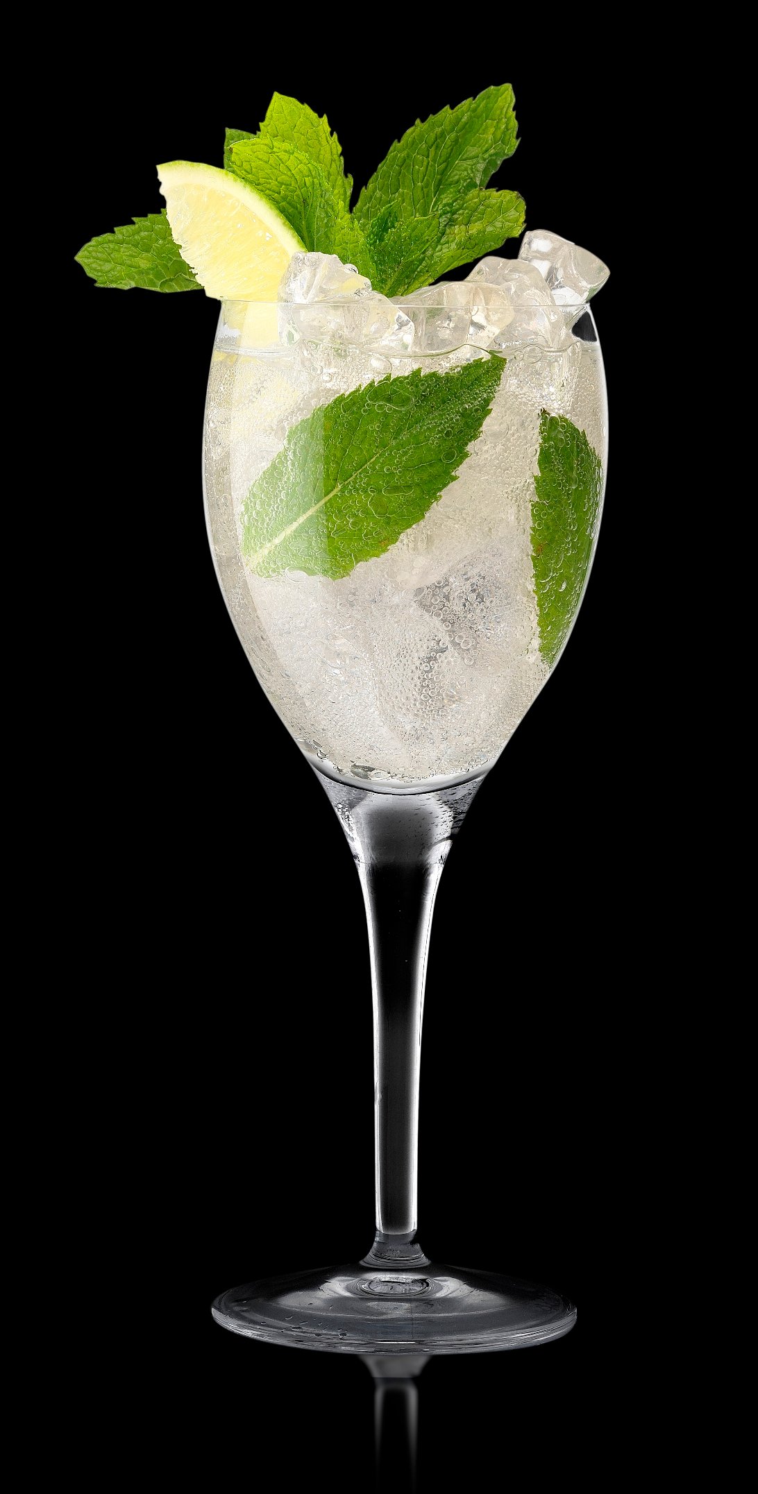 Herb-Infused Gin Fizz with Elderflower
