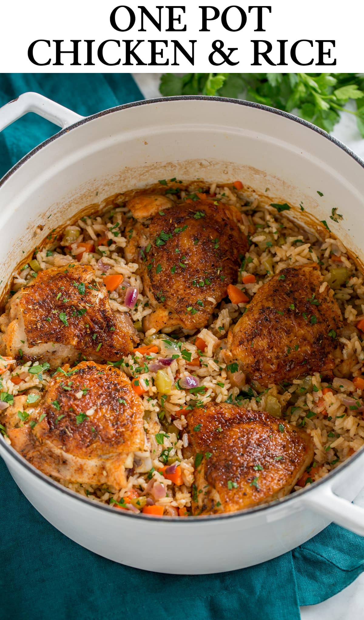 One-Pot Southwestern Chicken and Rice Stew