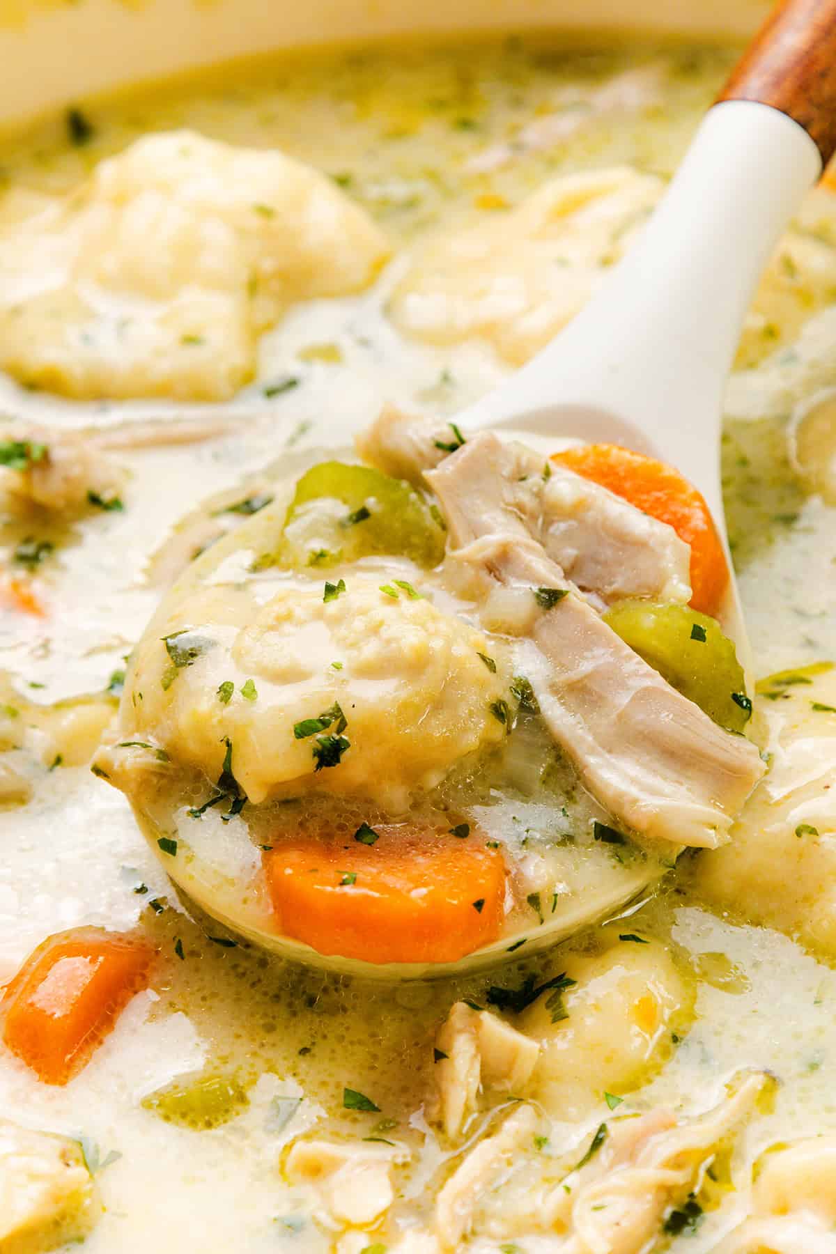 The Best Chicken and Dumpling Soup