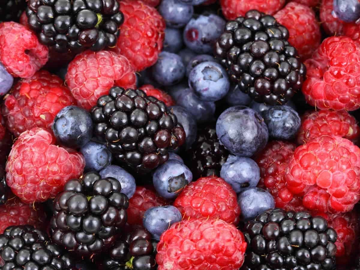 Berry Lavender Vodka Smash