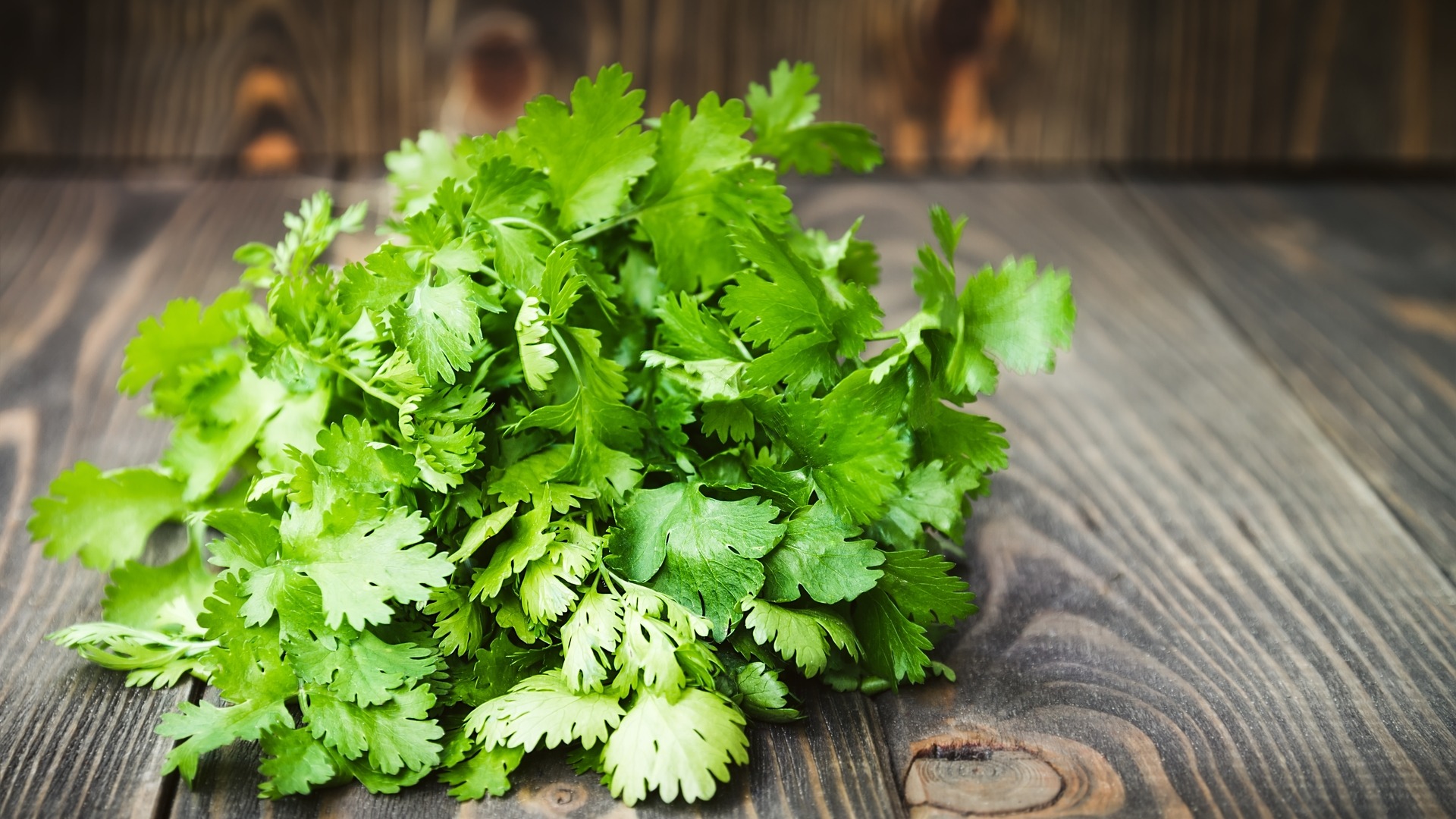 Cilantro-Lime Tequila Smash