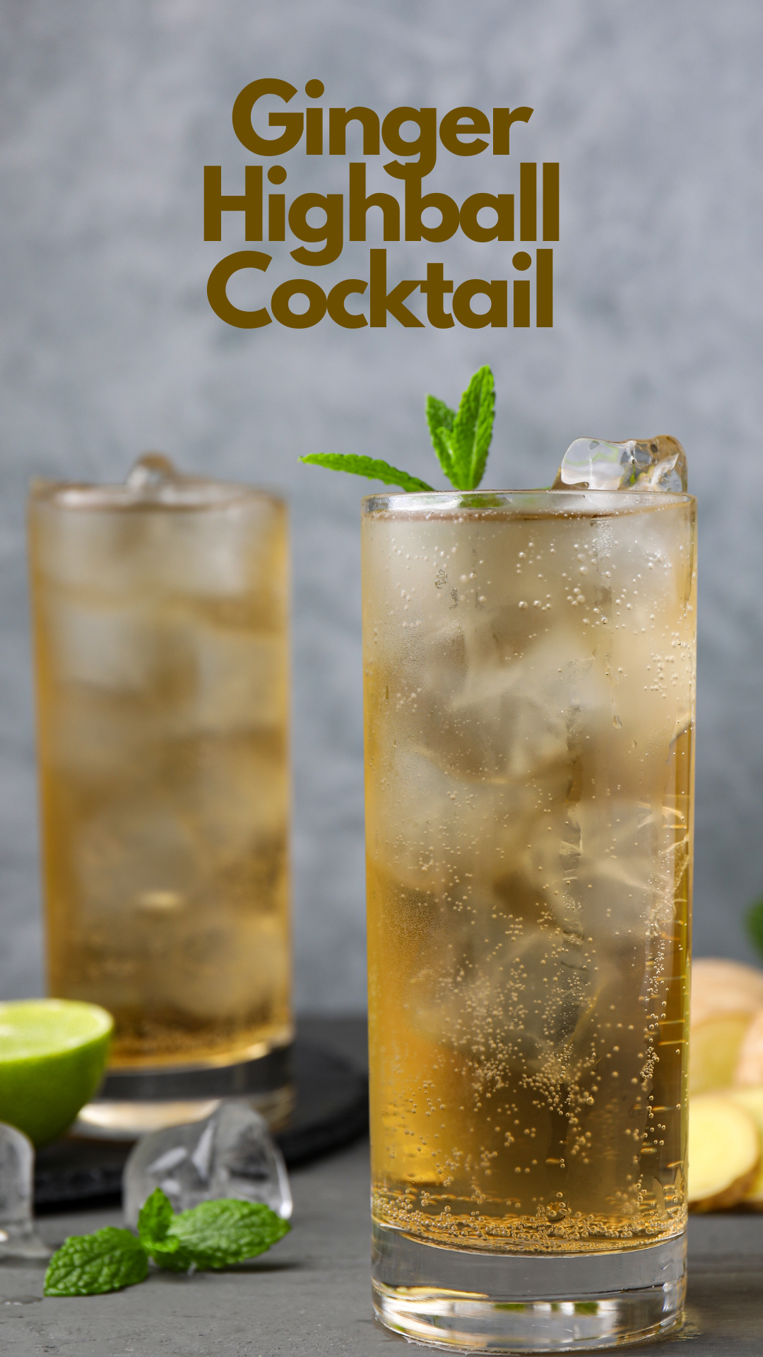 Tequila Citrus Ginger Highball