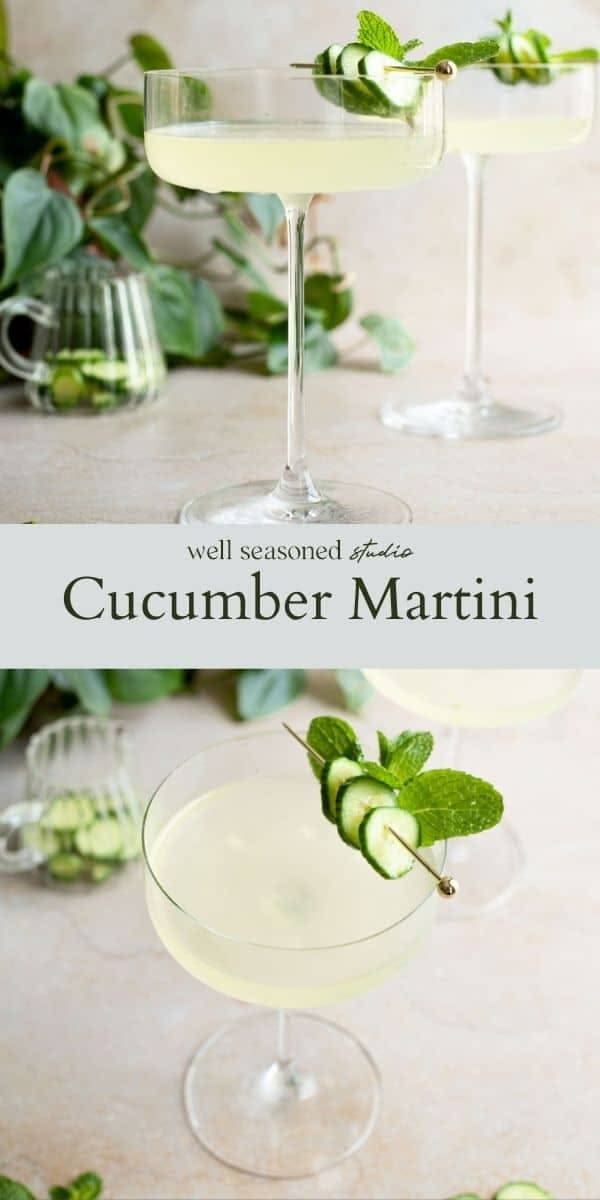 Herb-Infused Gin Martini with Cucumber Essence
