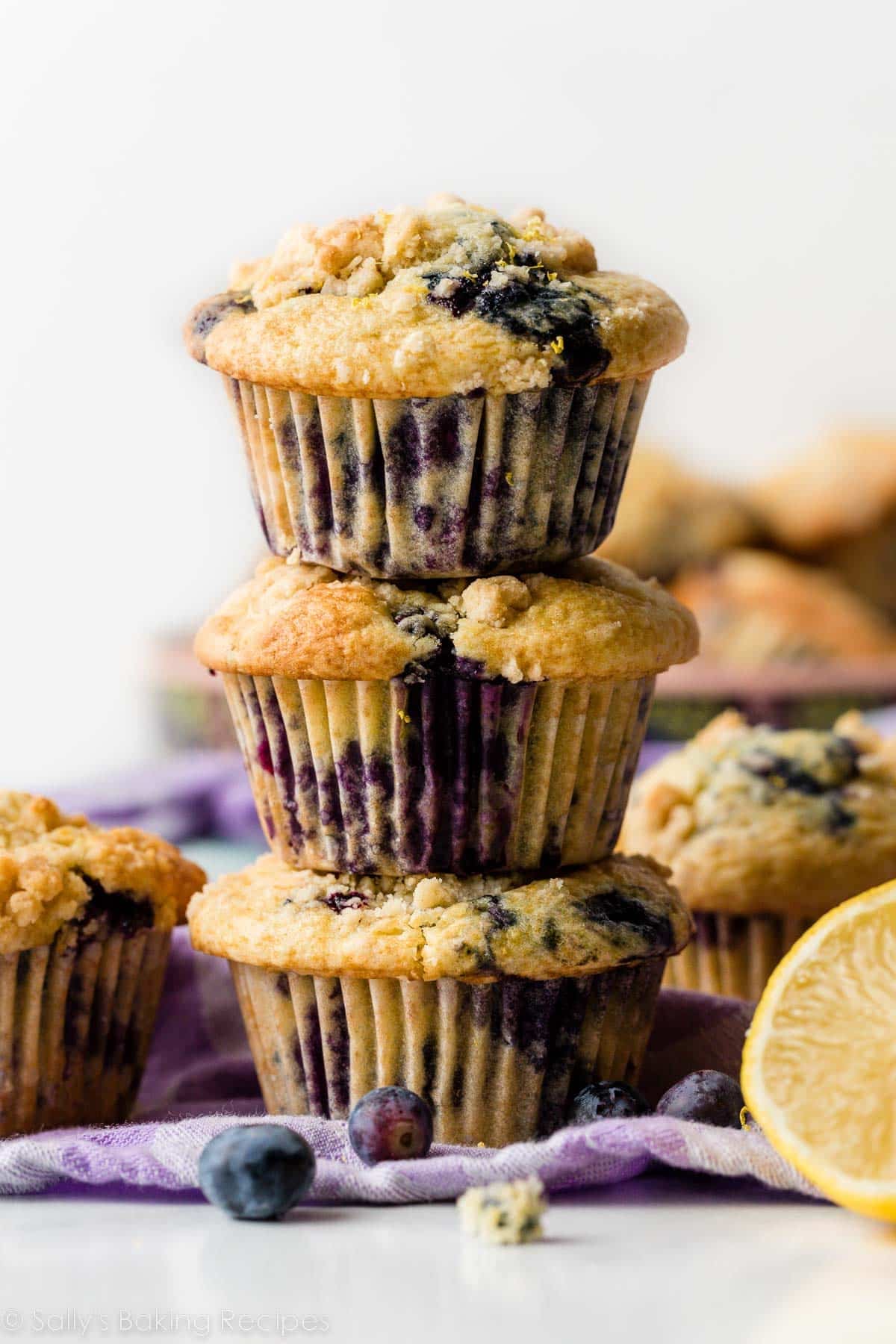 Half-Baked Blueberry and Lemon Muffins