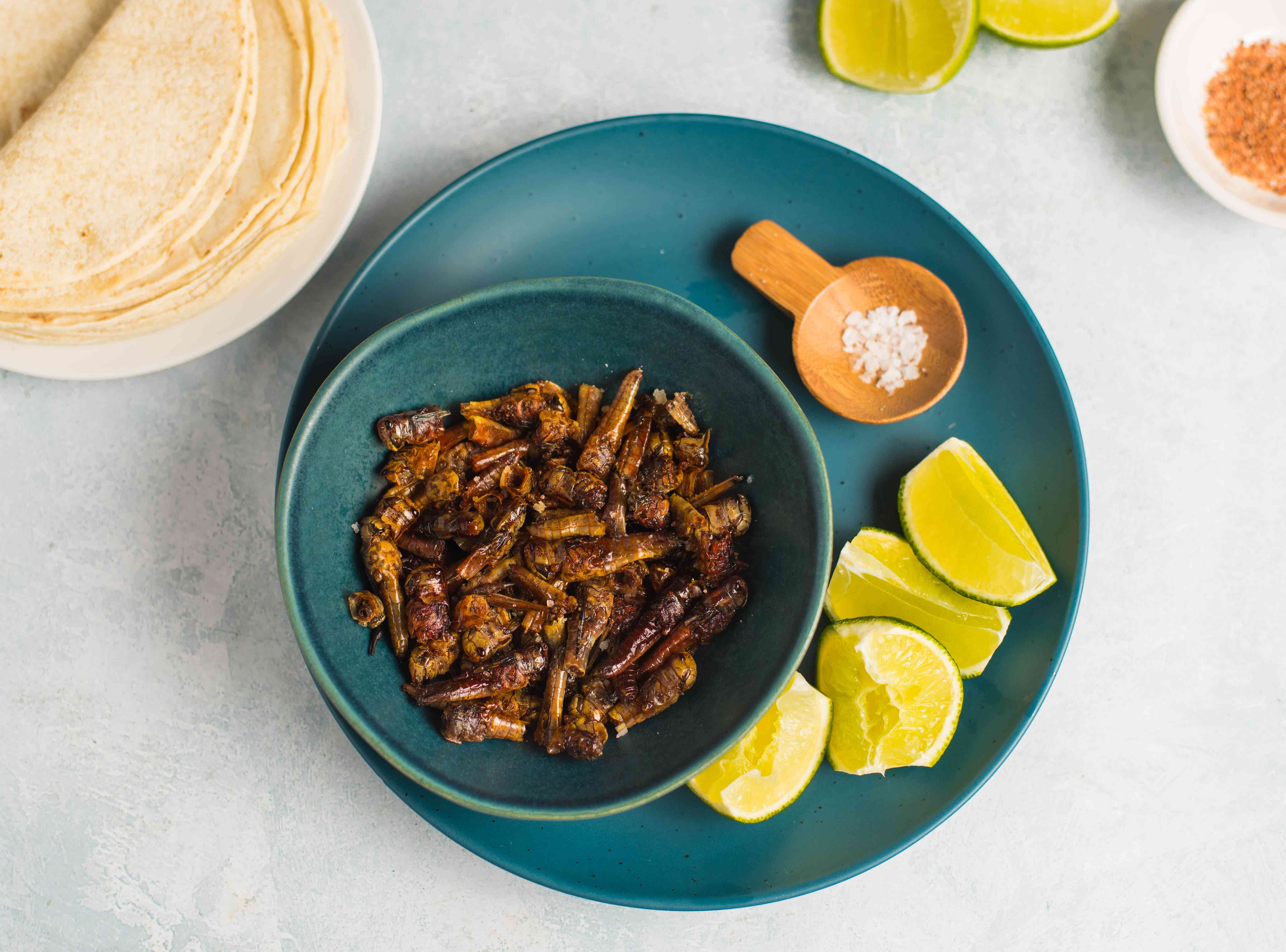Pan-Grilled Grasshopper Tacos with Pickled Onions and Oaxacan Cheese