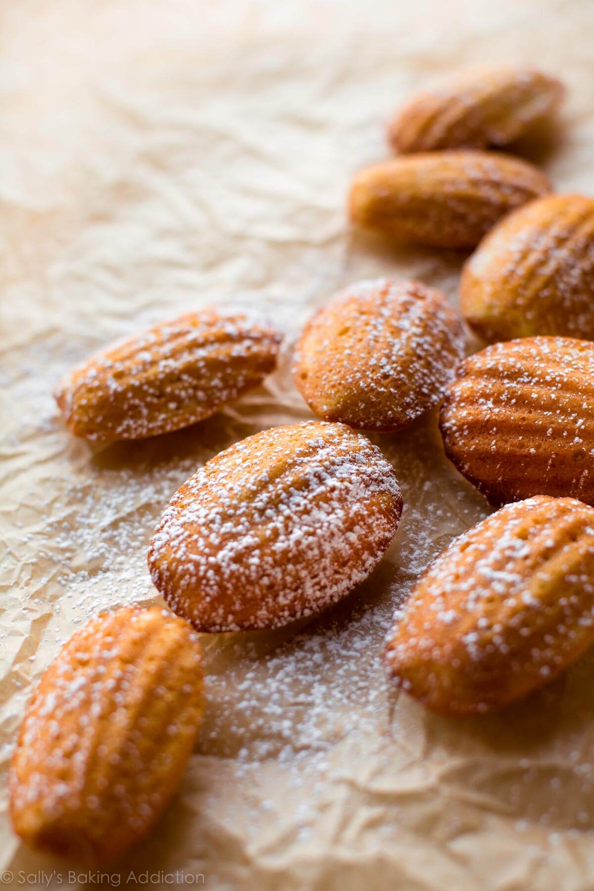 Classic French Lavender Honey Madeleines