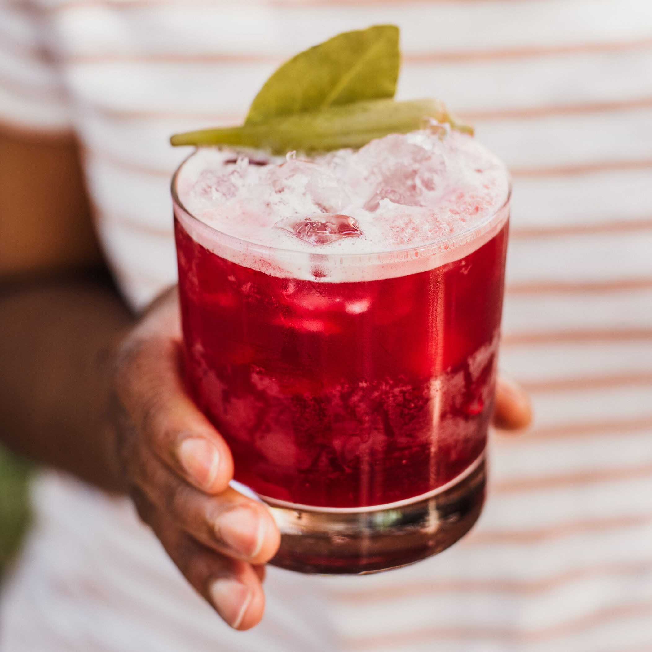 Hibiscus and Citrus Vodka Fizz