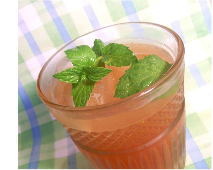 Citrus-Mint Popularity Fizz