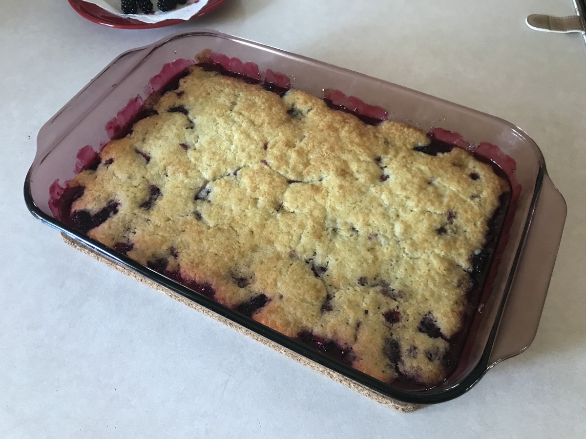 Spiced Oregon Berry and Whiskey Cobbler