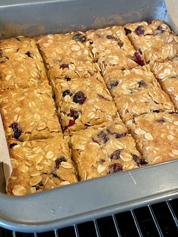 Biking Trail Energy Bars with Oats and Dried Cranberries