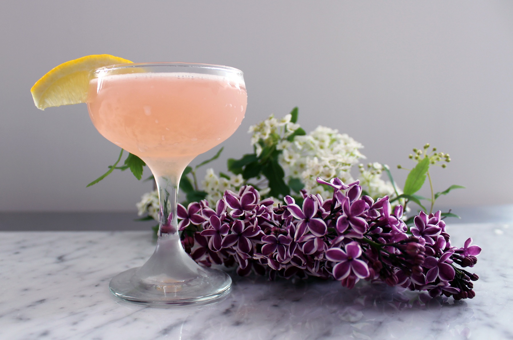 Citrus-Spiced Gin Sour with Cardamom