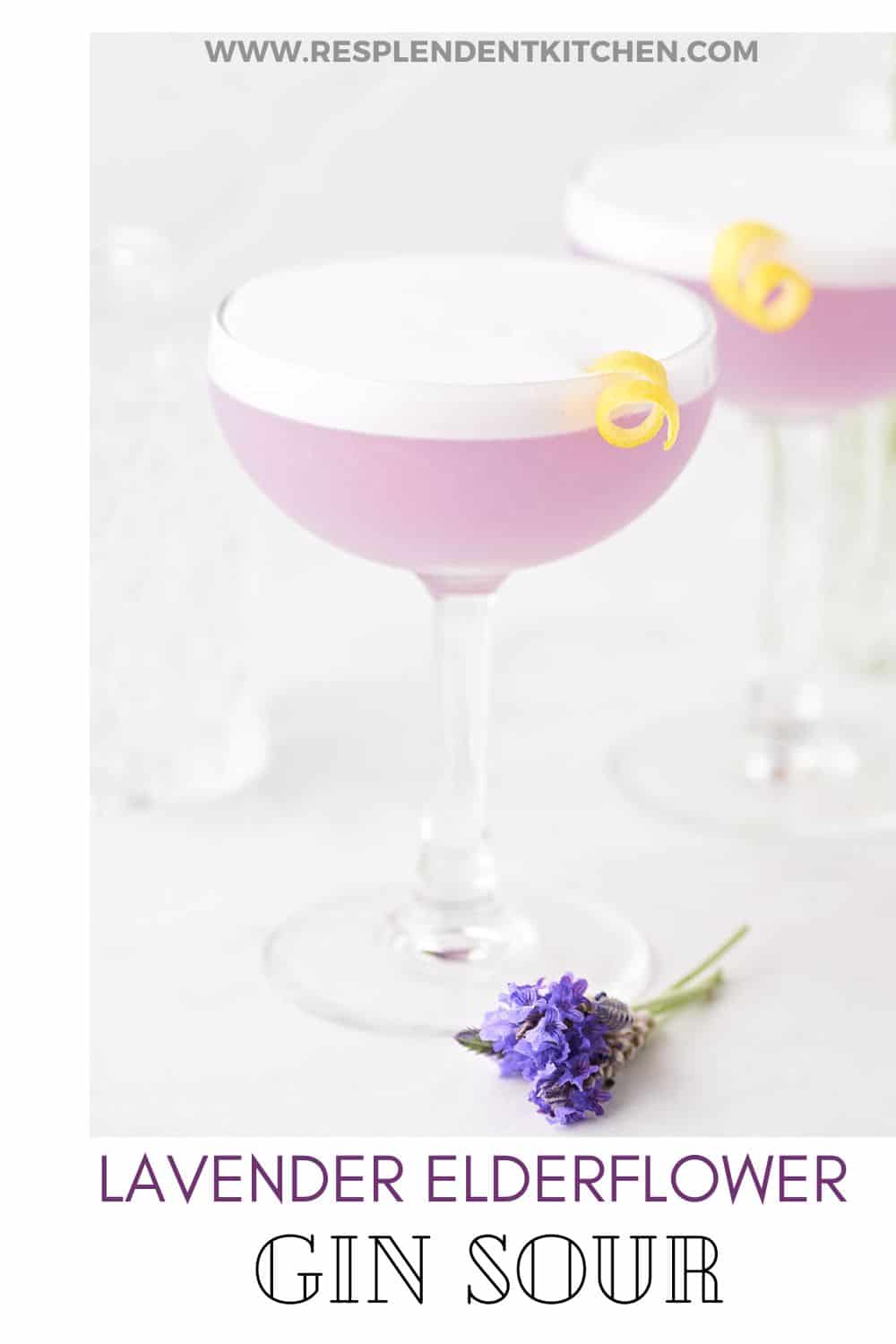 Gin and Elderflower Stirred Sour