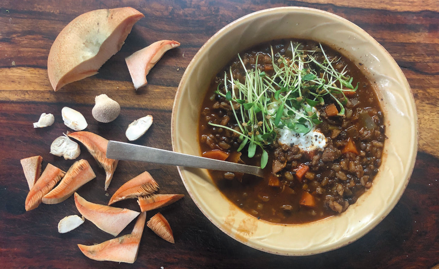 Boreal Forest Moose & Mushroom Stew