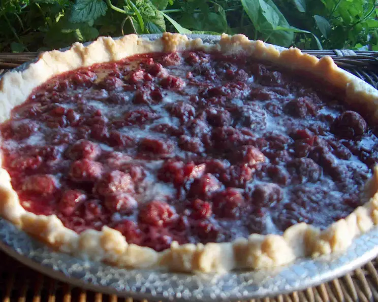 Velvet Cherry Popularity Sour