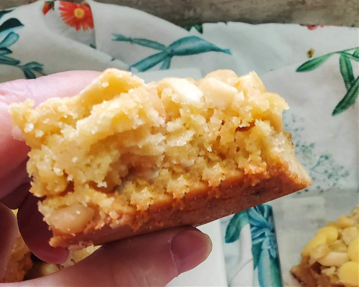 Wattleseed and Macadamia Chocolate Slice