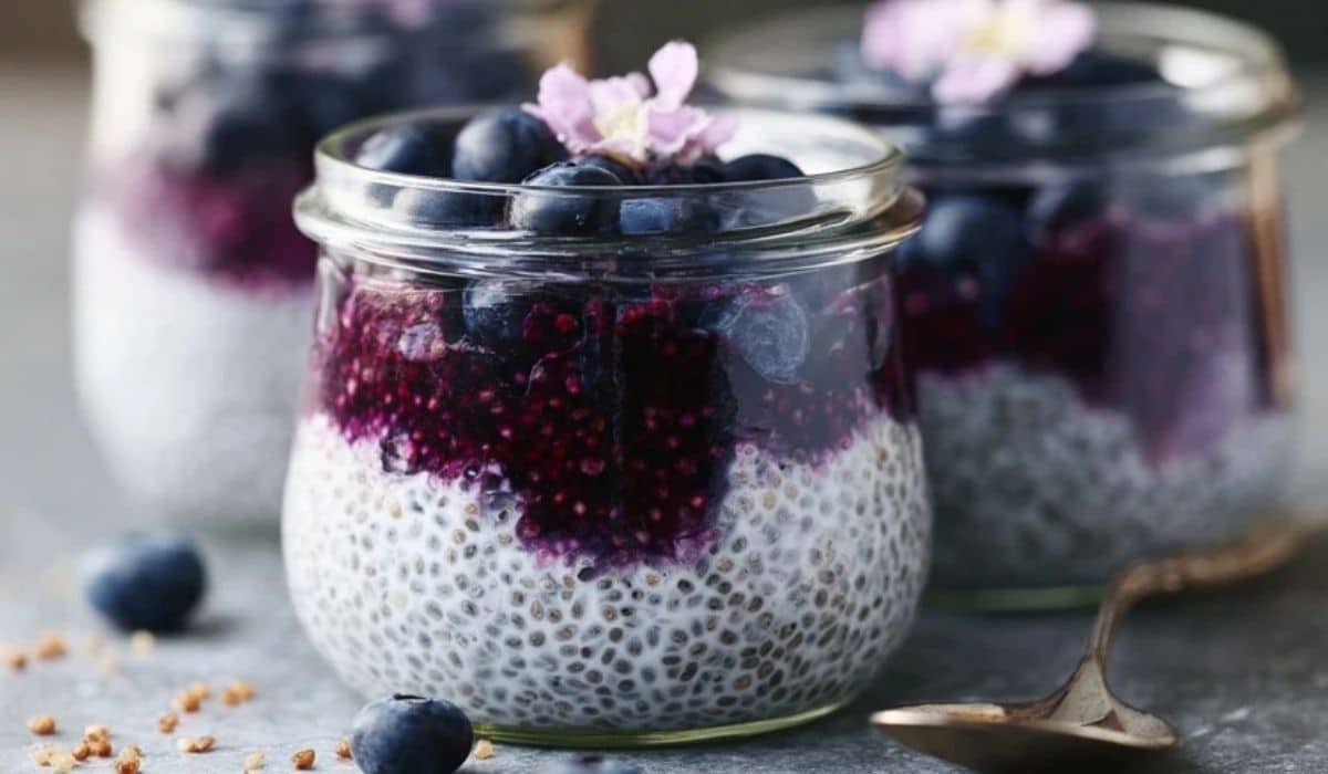 Frozen Blueberry Chia Pudding with Vanilla and Coconut