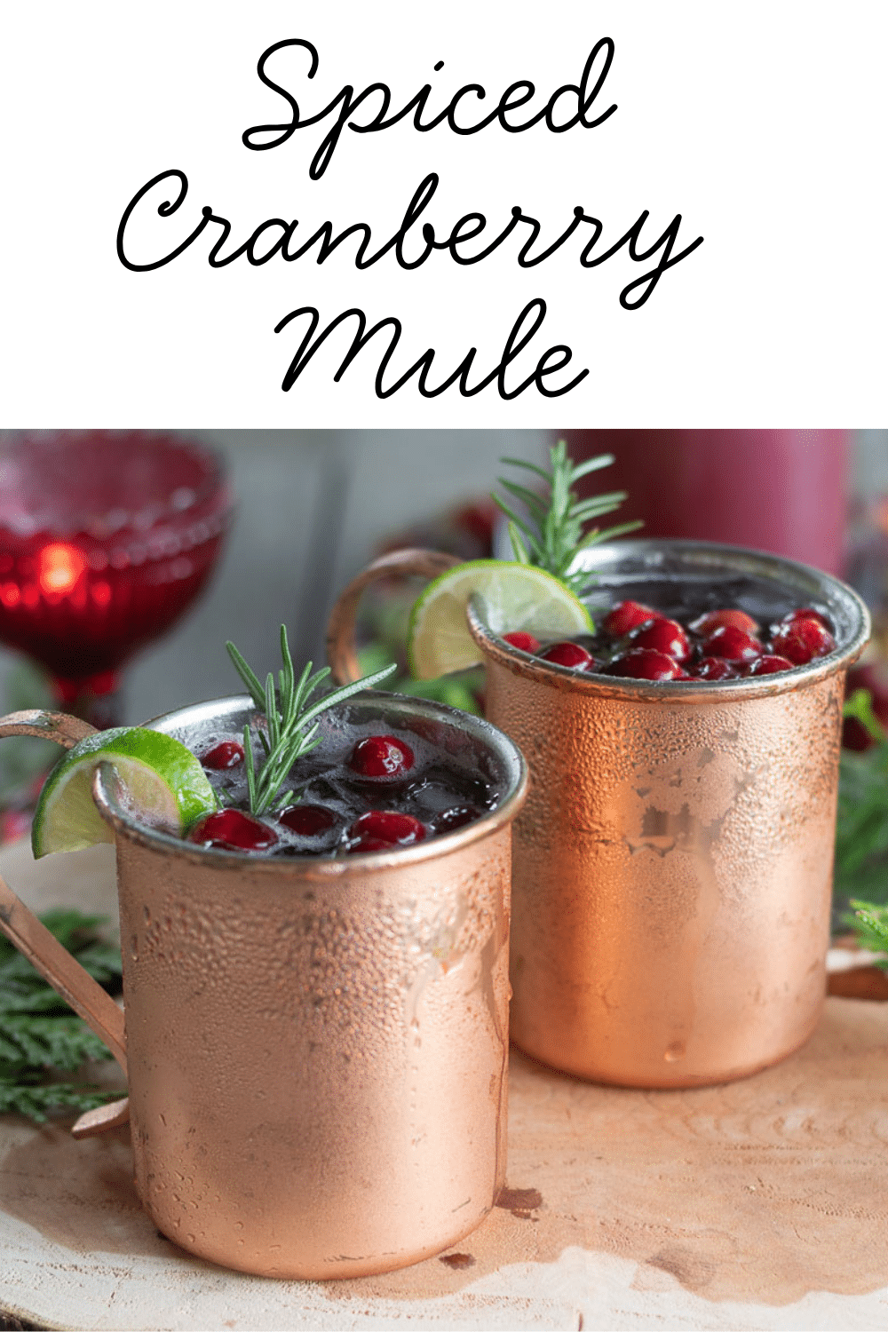 Spiced Rum Cranberry Mule
