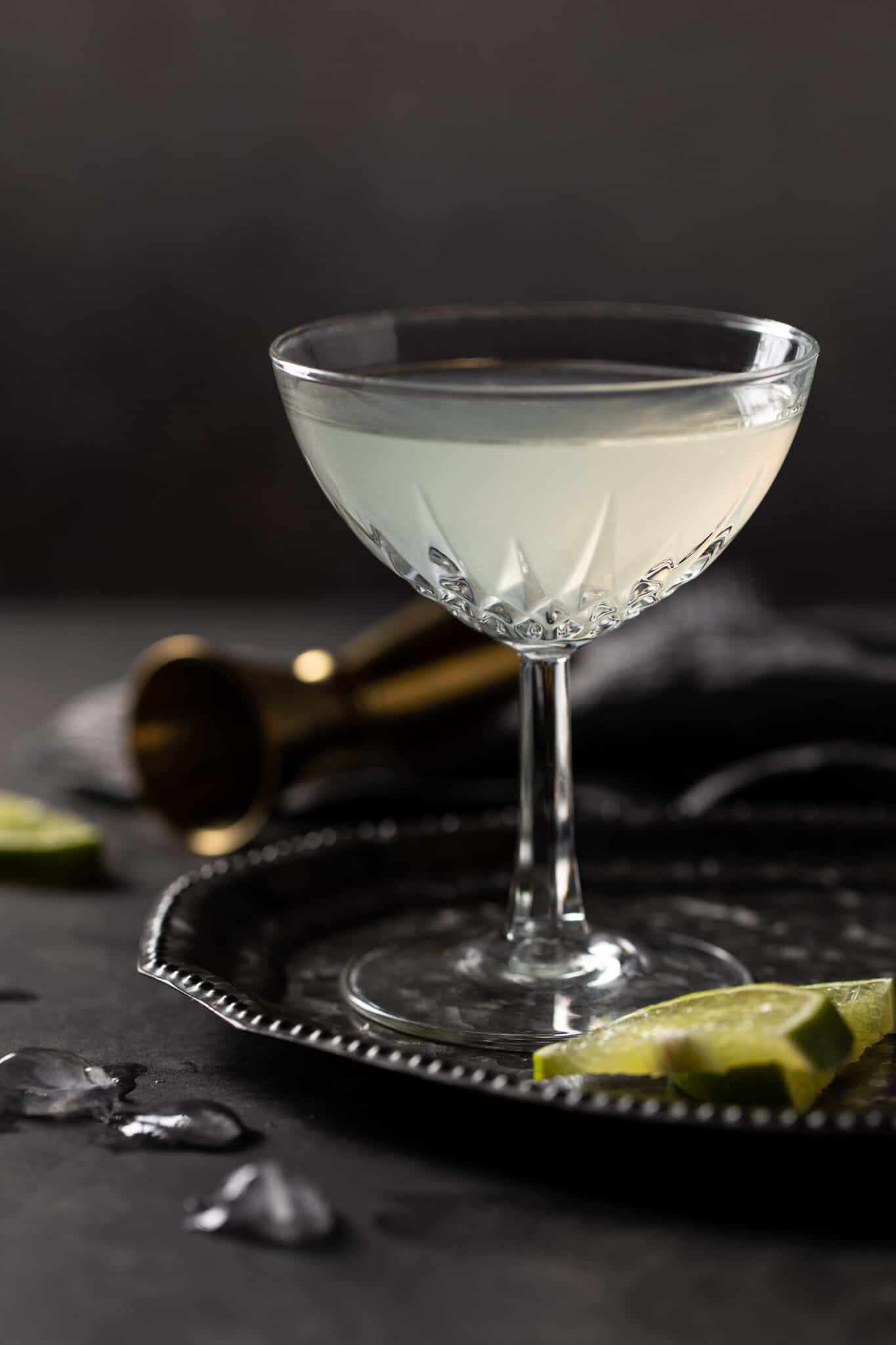 Classic Elderflower Gin Martini