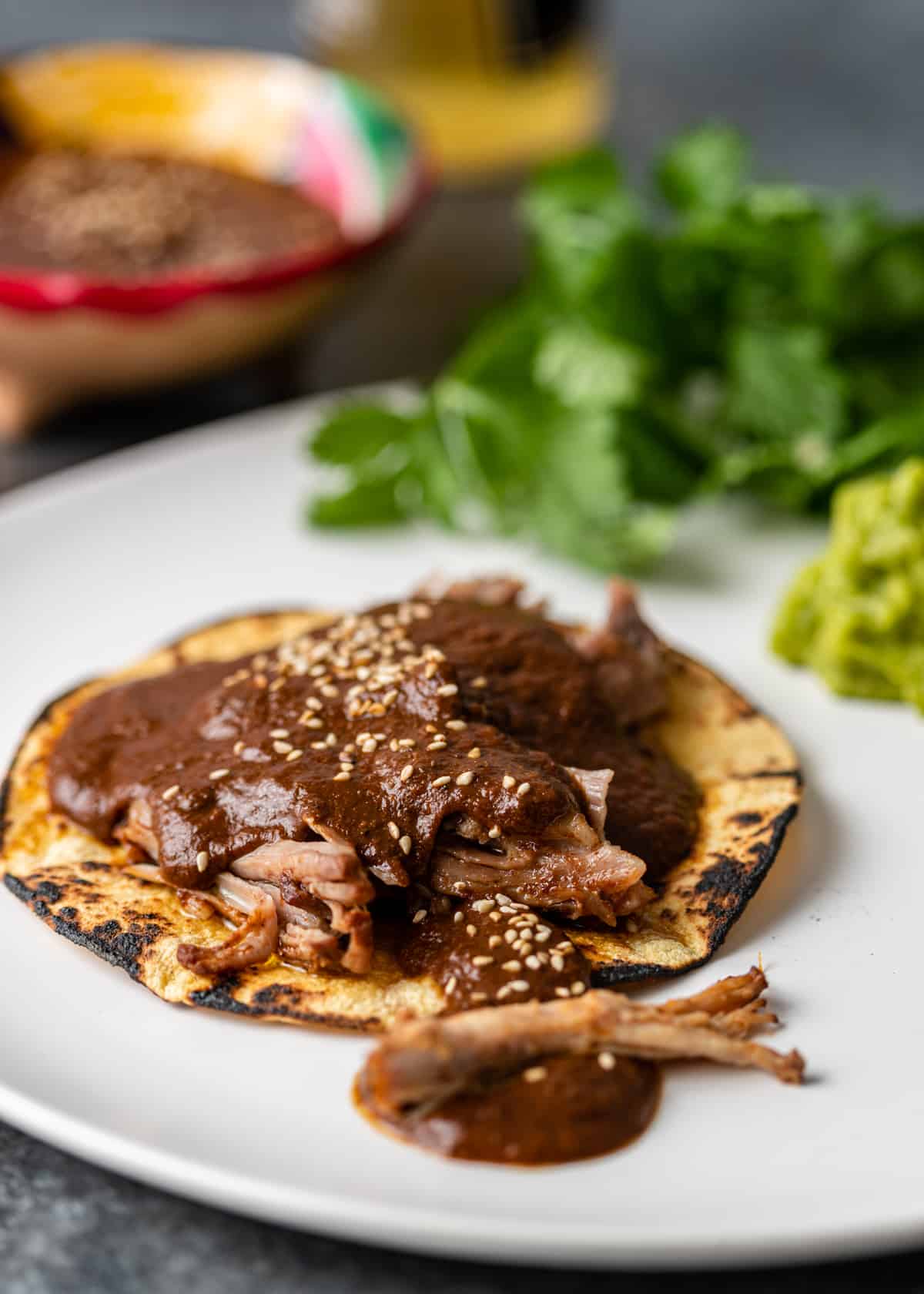 Slow-Simmered Oaxacan Mole Negro with Toasted Chilies