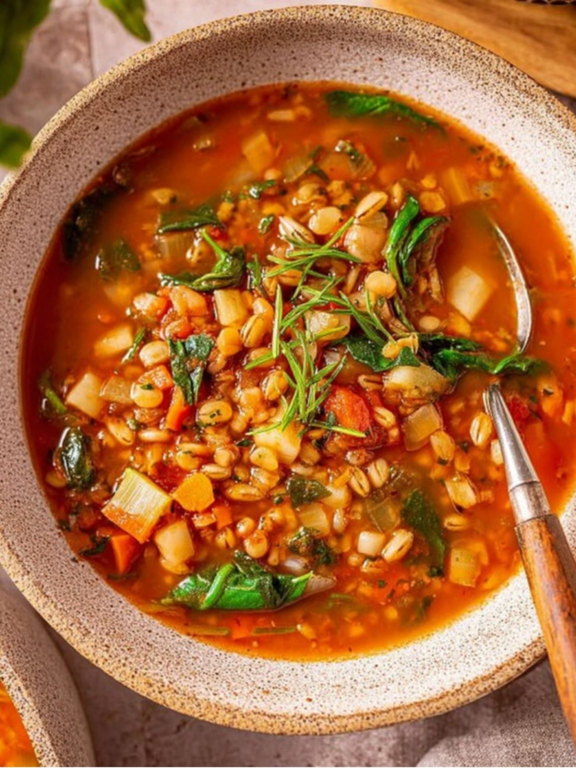 NASA's Mars Habitat Vegetable Soup