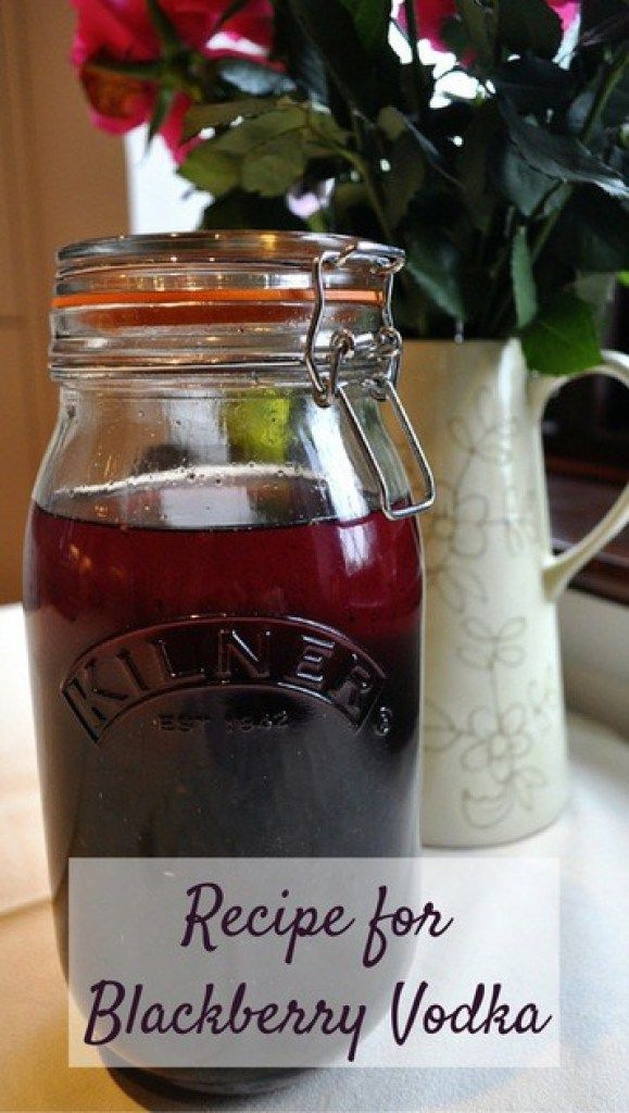 Blackberry Vanilla Vodka Collins
