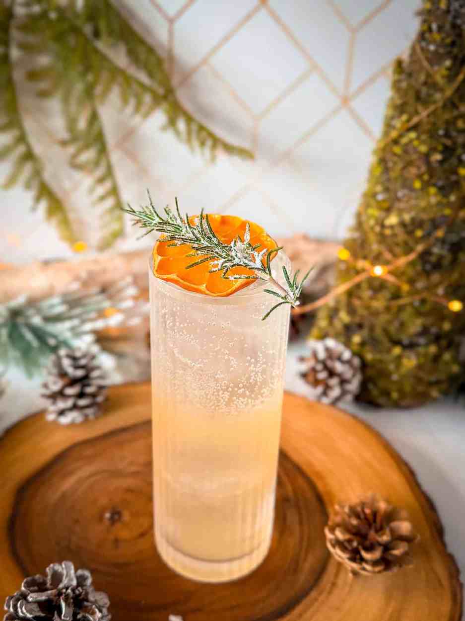 Citrus-Infused Gin Fizz with Fresh Thyme