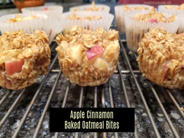Apple-Cinnamon Oatmeal Bites