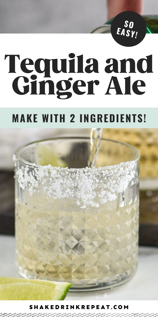 Ginger-Spiced Tequila Daisy