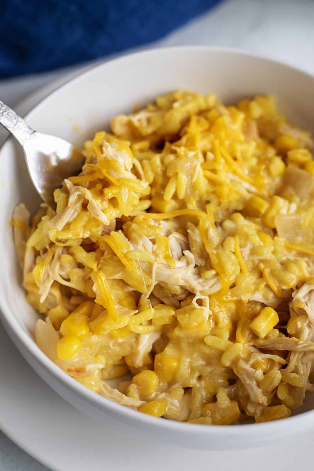 American Southern Chicken and Rice