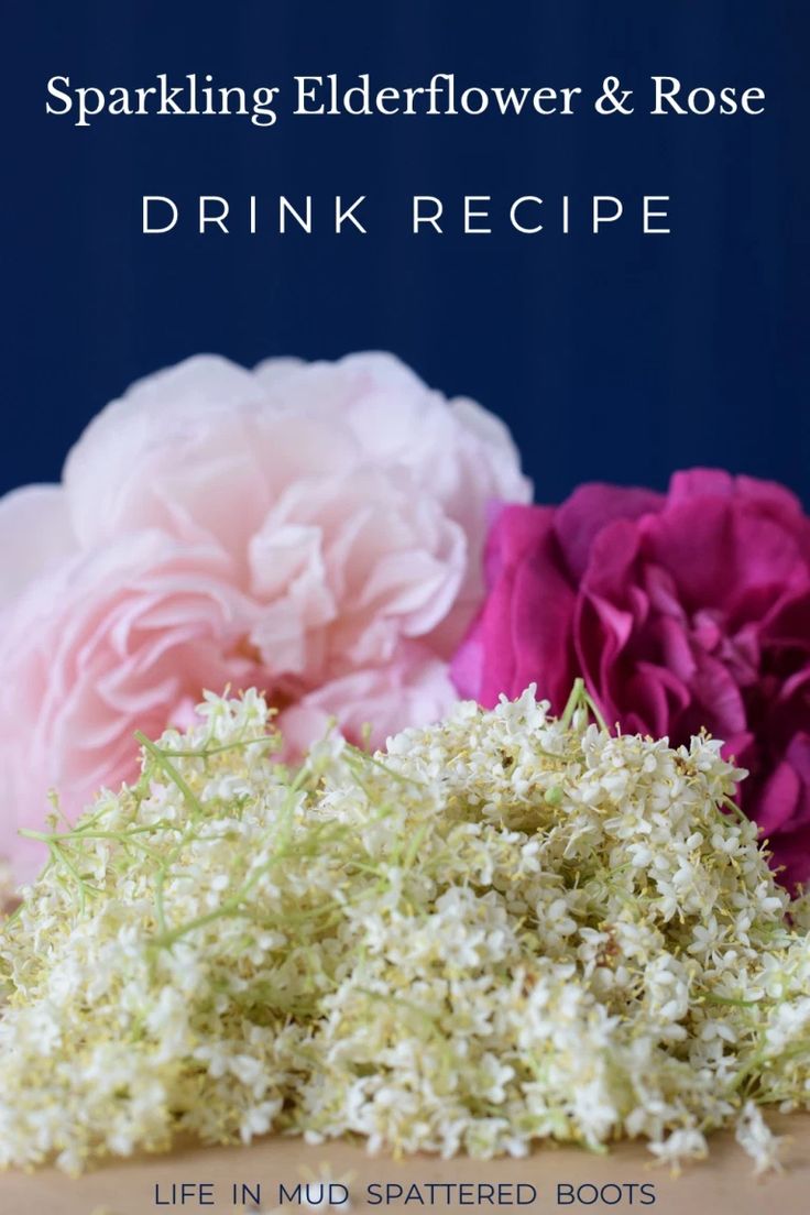 Rose & Elderflower Sparkler