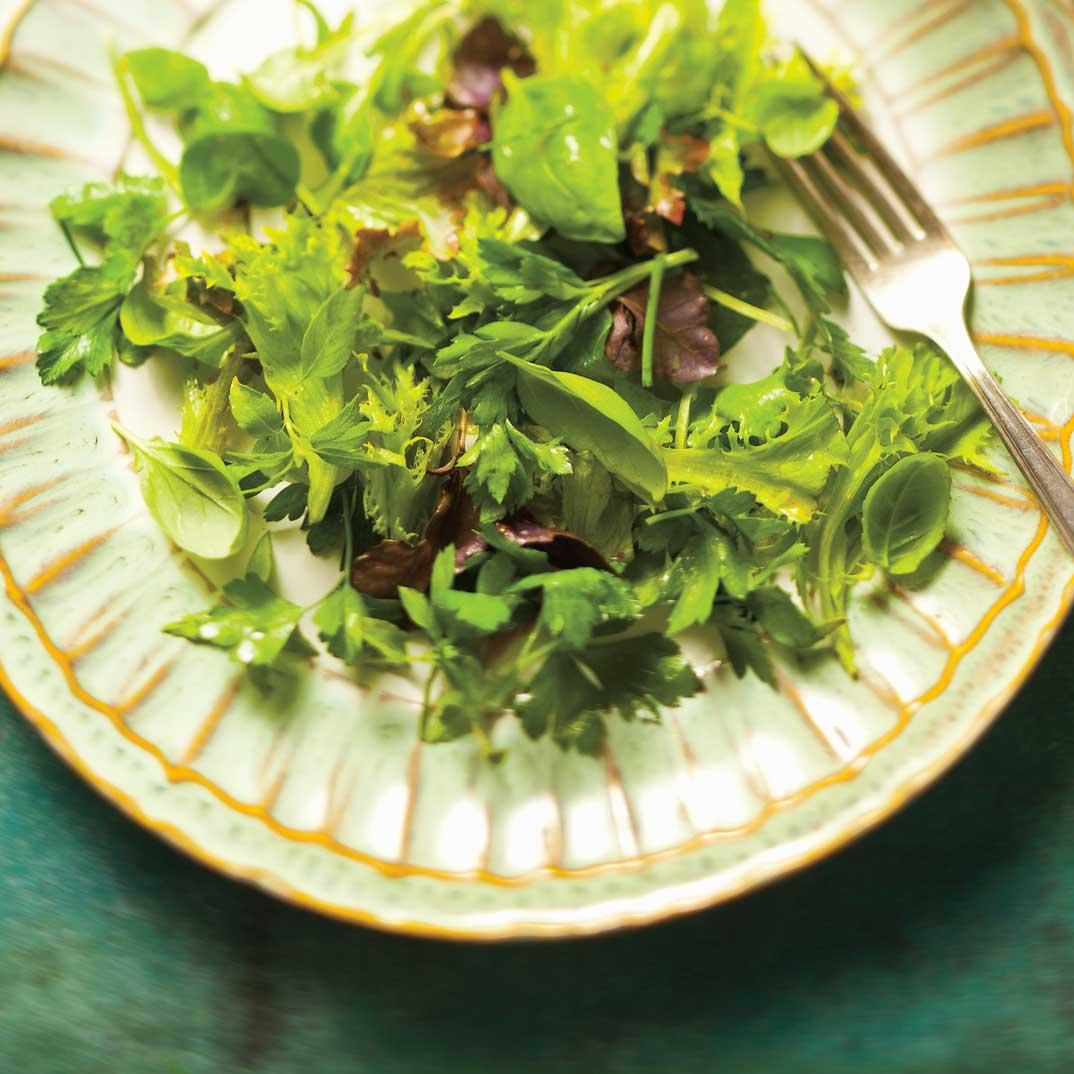 ActiveSky Herb Salad