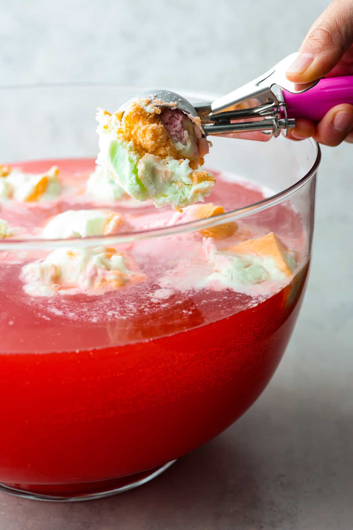 Sparkling Sherbet Citrus Punch