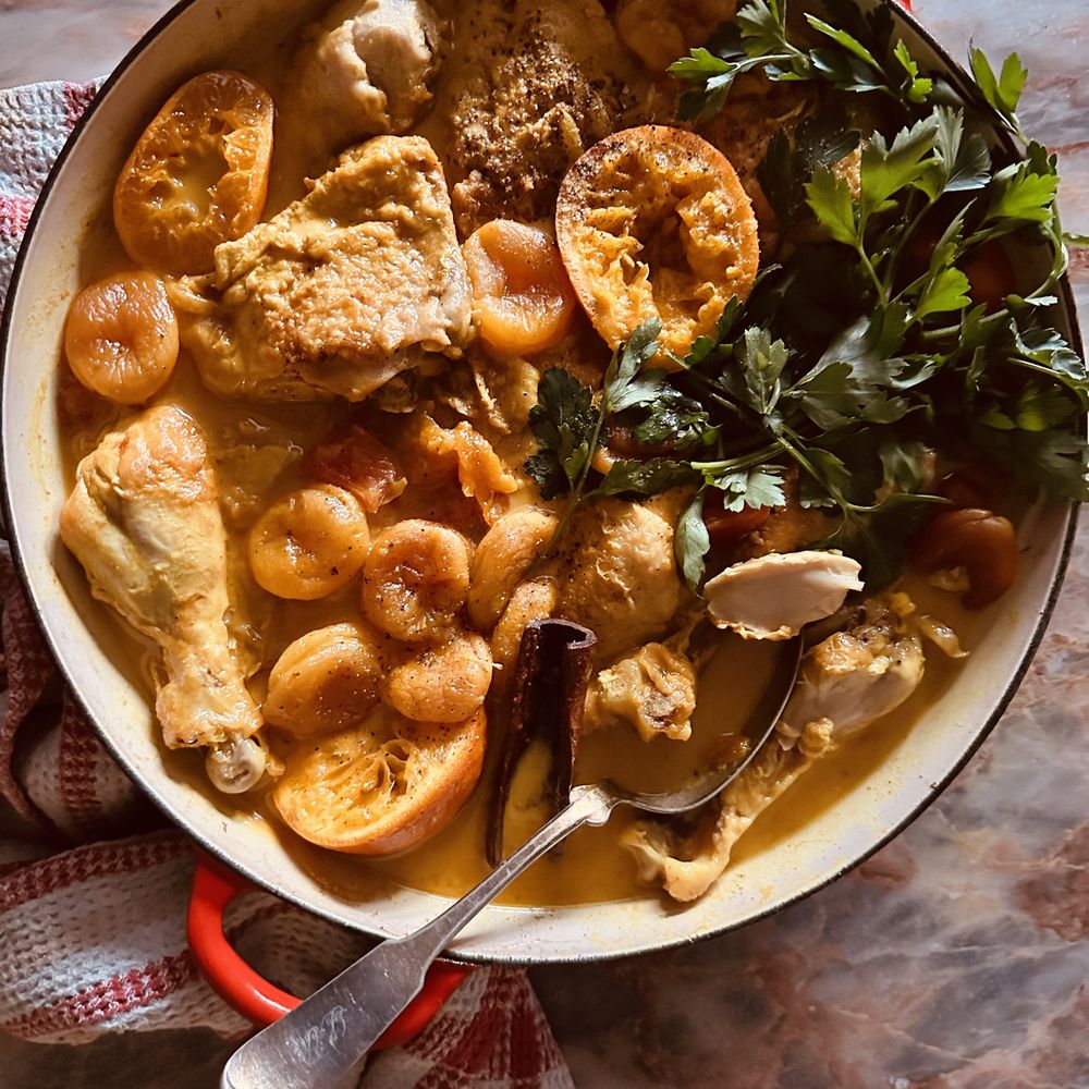 Apricot and Chicken Slow Cooker Stew