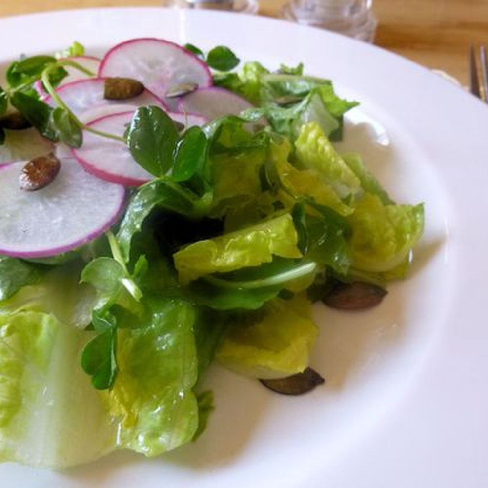 Radish and Pea Shoot Salad with Lemon-Herb Vinaigrette